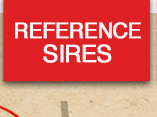 Reference Sires